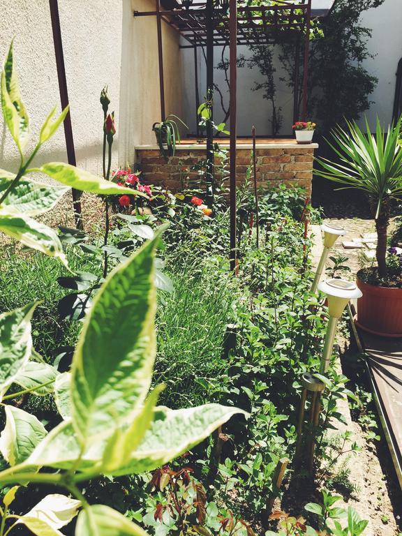 Guest house Nizama's Place Saraievo Exterior foto